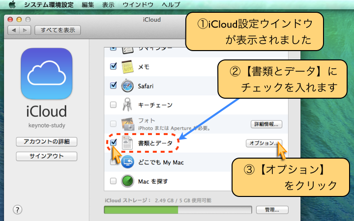 iCloud設定ウインドウが表示されました